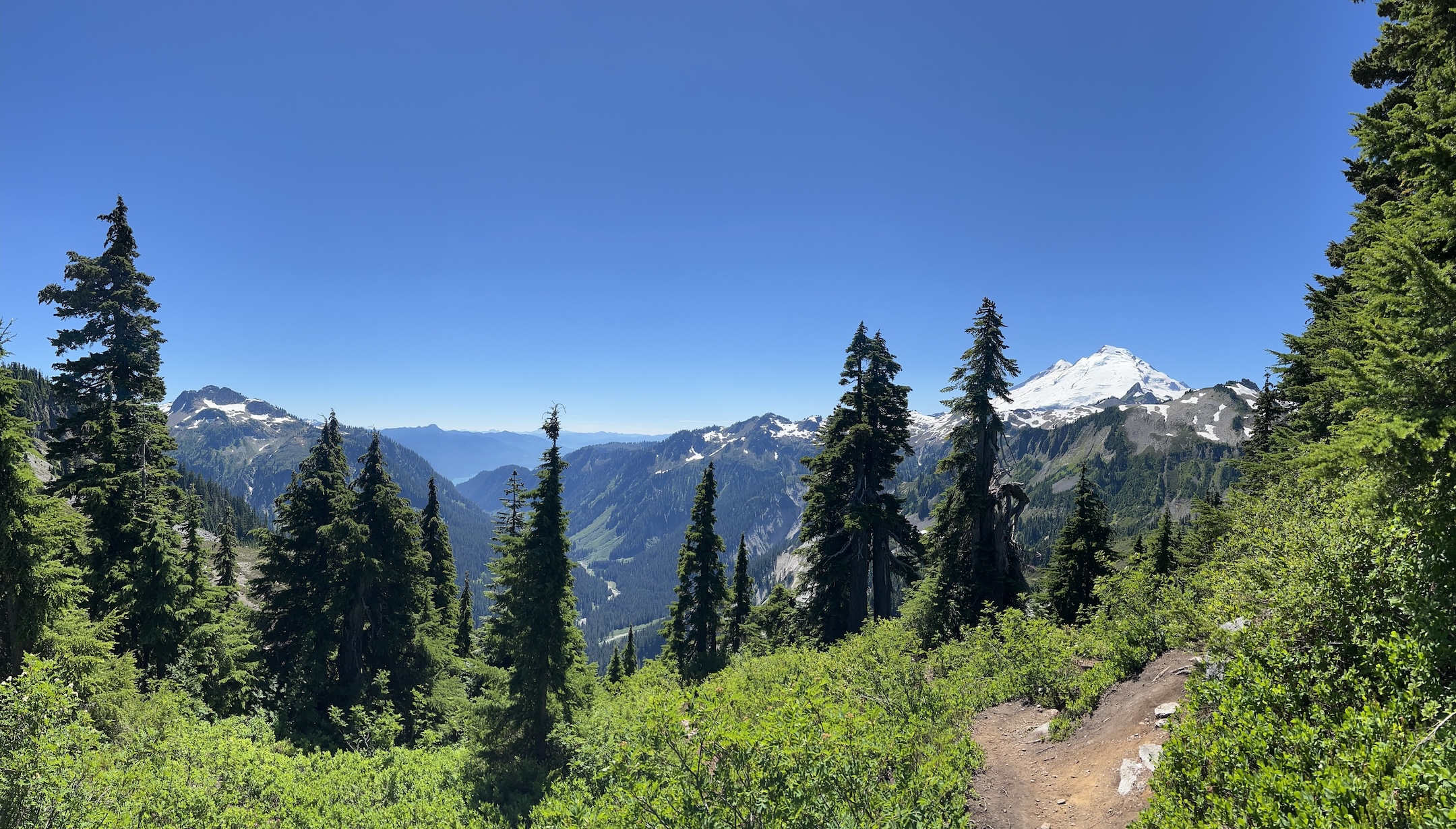 Image of Mount Baker View